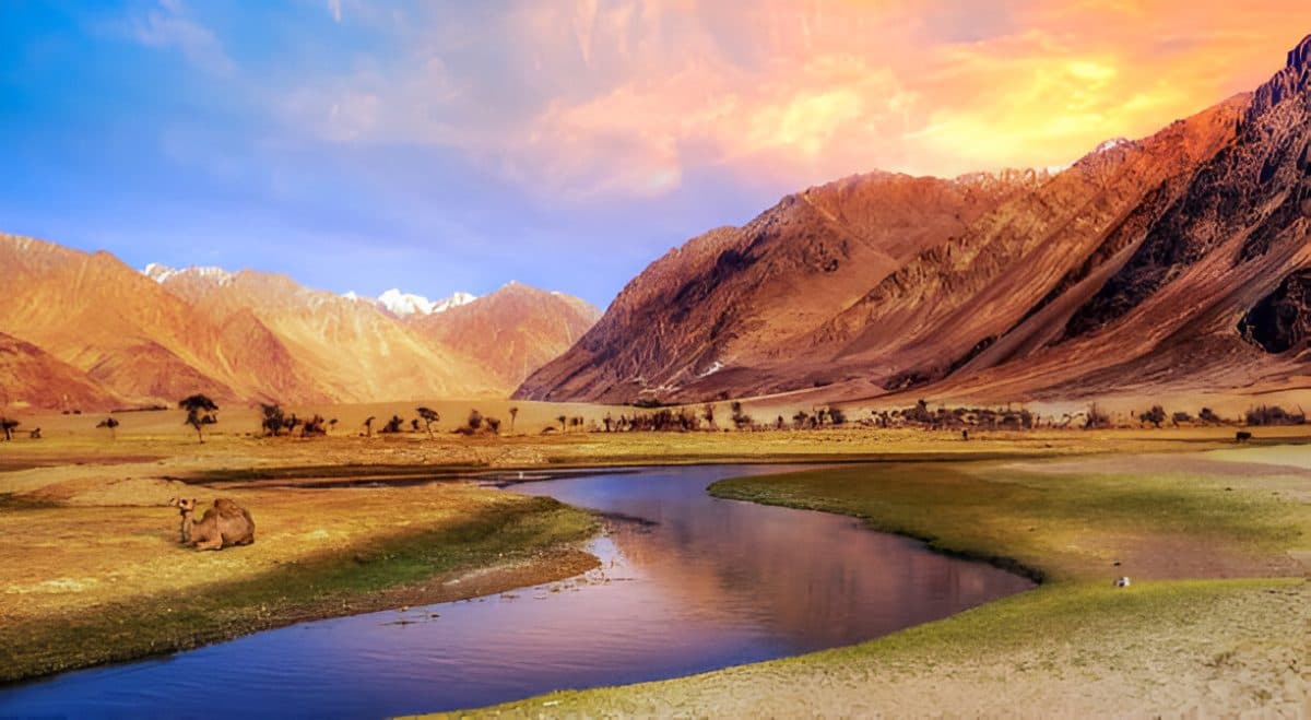 Ladakh Adventure Circuit | Leh, Nubra & Pangong
