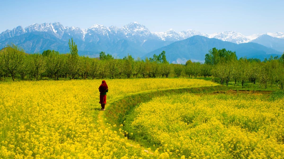 Heritage of Kashmir