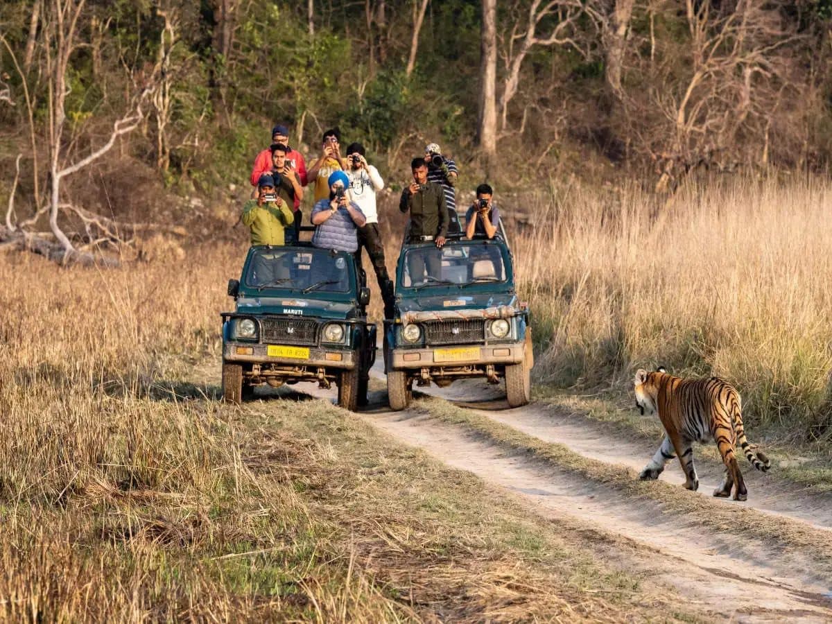 Corbett Wildlife Safari
