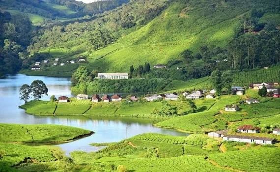 Kerala Hill Station Special | Munnar & Vagamon Tour